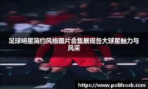 MLB联盟发布赛季最终总结