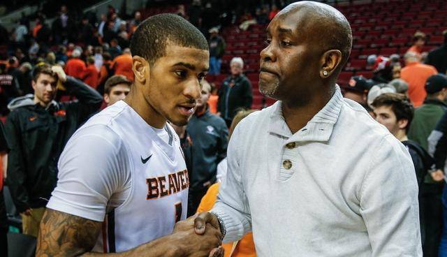 员保利尼奥 员保利尼奥