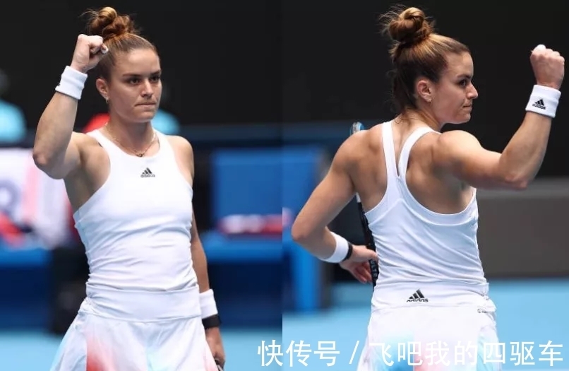 触虽未出现 触虽未出现